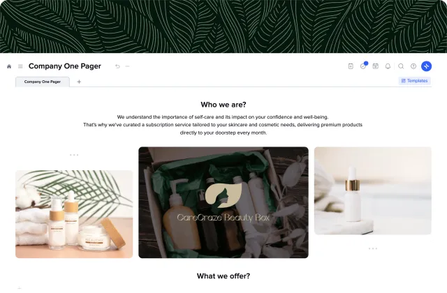 Company One Pager template preview