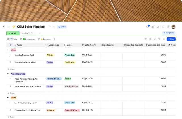 CRM Sales Pipeline template preview