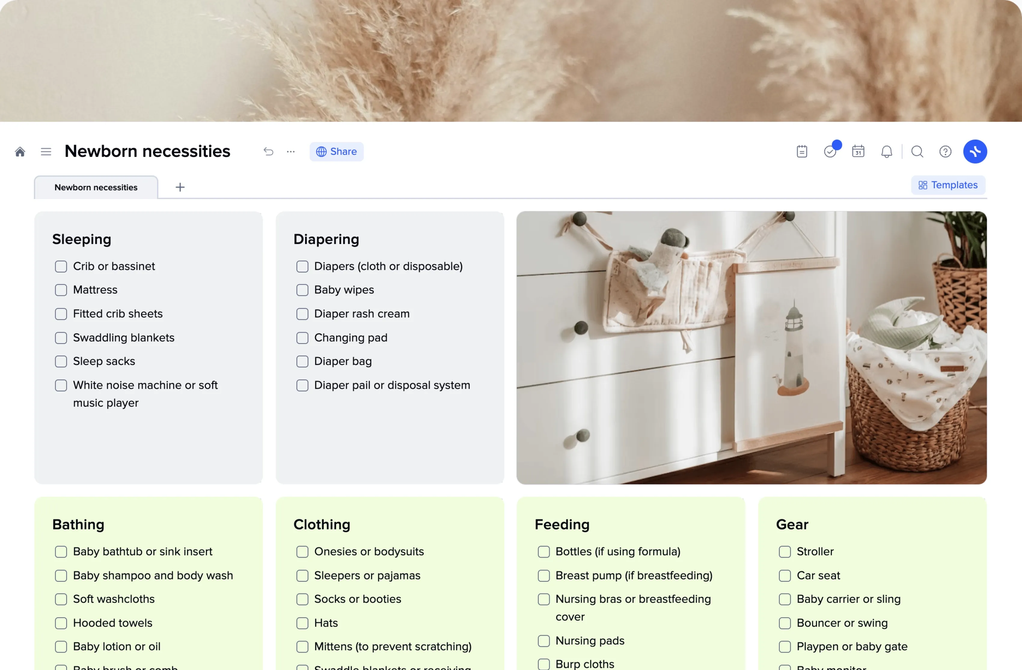 Newborn Necessities template preview